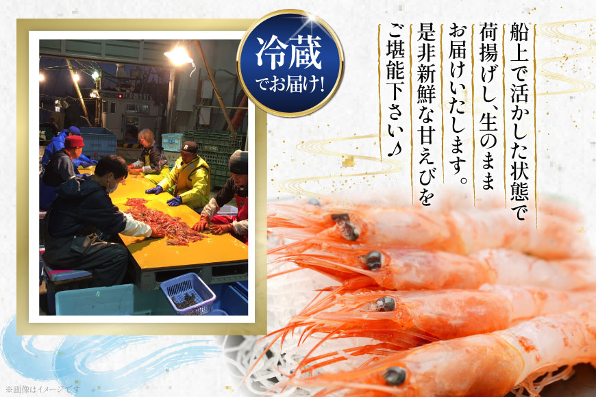 甘エビ 冷蔵 400g [小川水産 石川県 志賀町 CM6009] 甘えび あまえび エビ 海老 甘海老