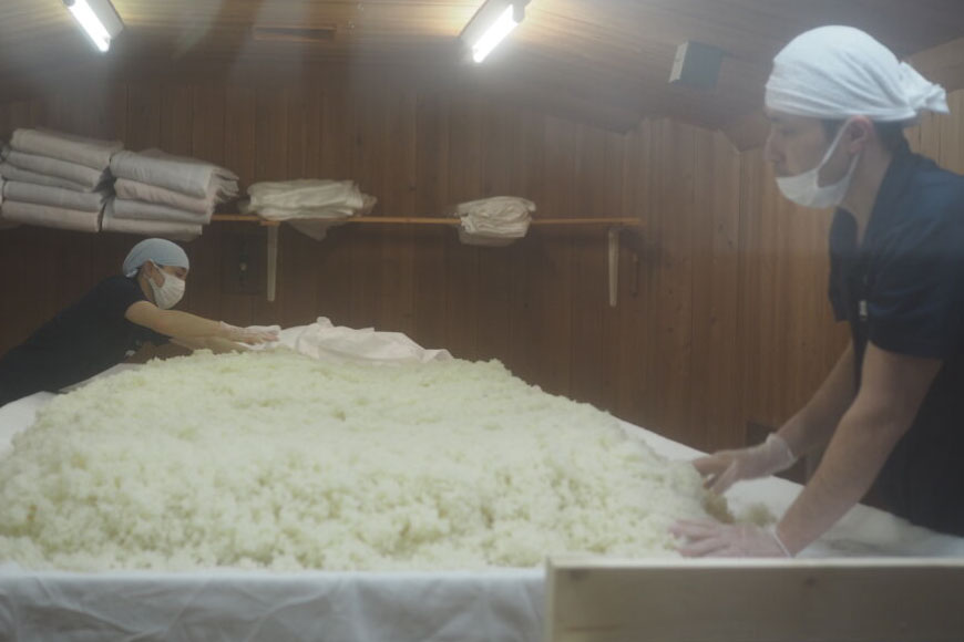 日本酒 竹葉 能登純米 720ml 1本 [株式会社 升々（ますもと酒店） 石川県 志賀町 AF4102] 山田錦 純米酒 冷酒 燗