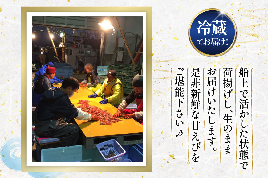 超甘！赤ガスエビ 冷蔵 400g [小川水産 石川県 志賀町 CM6002] ガスエビ ガス海老 がすえび トゲザコエビ