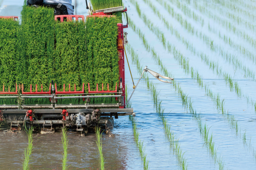 能登米 ぬか湯 30g 2パック 計2回分 [株式会社カラダック 石川県 志賀町 CN4003] 入浴剤 保湿 しっとり 風呂 バス 無添加 合成香料 防腐剤 着色料 不使用