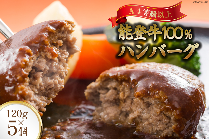てらおか風舎の特選能登牛100%ハンバーグ 120g×5個 [てらおか風舎（寺岡畜産） 石川県 志賀町 AA4199] 肉 能登牛 ハンバーグ 5個 デミグラスソース付き 化粧箱入り