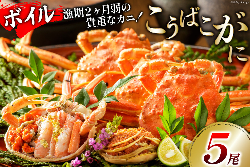 【期間限定発送】【能登半島 漁協直送！】ボイル済 香箱ガニ 5尾[JF西海 石川県 志賀町 AM4227] 蟹 カニ かに ズワイガニ セコガニ メス 内子