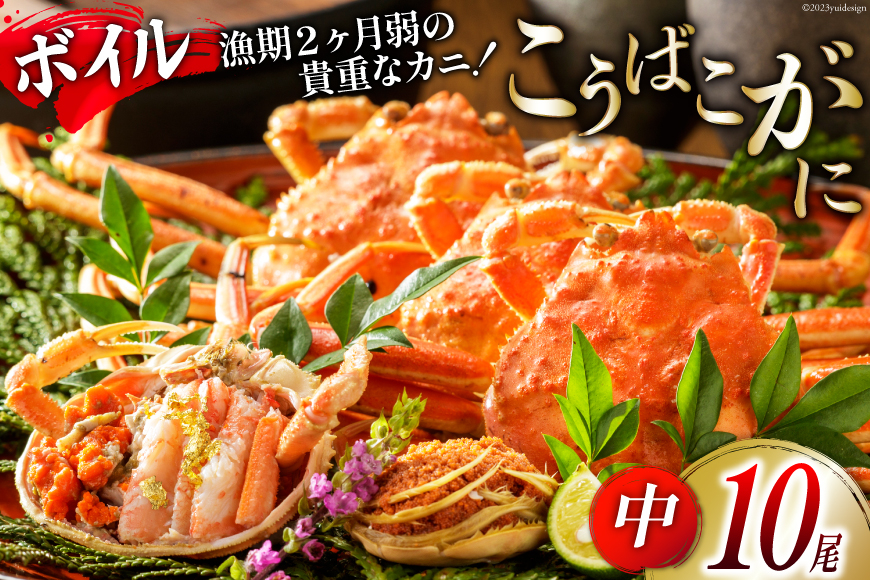 【期間限定発送】【能登半島 漁協直送！】ボイル済 香箱ガニ 10尾[JF西海 石川県 志賀町 AM4228] 蟹 カニ かに ズワイガニ セコガニ メス 内子