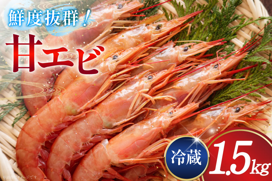 甘エビ 冷蔵 1.5kg [小川水産 石川県 志賀町 CM6008] 甘えび あまえび エビ 海老 甘海老