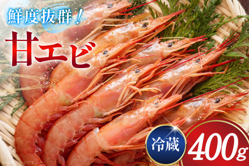 甘エビ 冷蔵 400g [小川水産 石川県 志賀町 CM6009] 甘えび あまえび エビ 海老 甘海老
