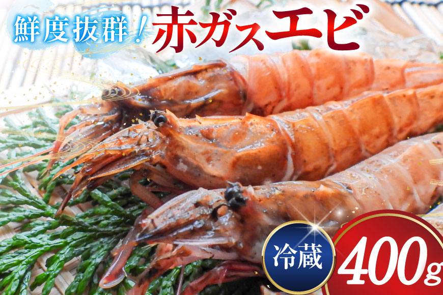 超甘！赤ガスエビ 冷蔵 400g [小川水産 石川県 志賀町 CM6002] ガスエビ ガス海老 がすえび トゲザコエビ