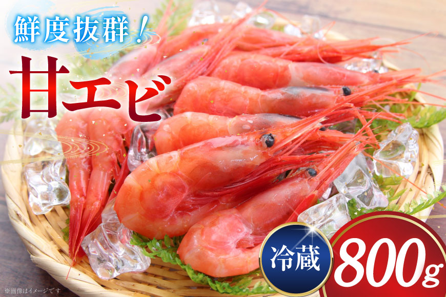 甘エビ 冷蔵 800g [小川水産 石川県 志賀町 CM6006] 甘えび あまえび エビ 海老 甘海老