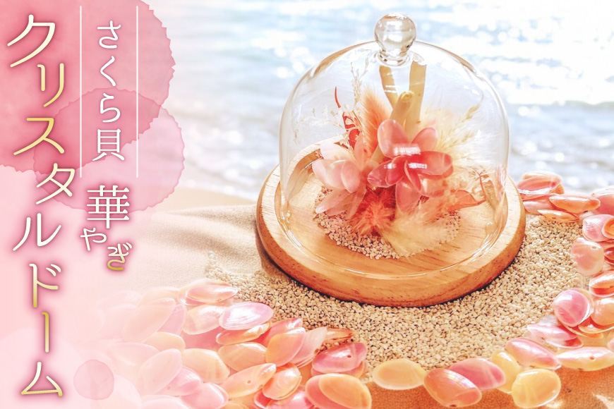 さくら貝華やぎクリスタルドーム [桜貝小貝くらふと 石川県 志賀町 AH4119] クリスタルドーム 雑貨 置き物 さくら貝 桜貝 かわいい ハンドメイド