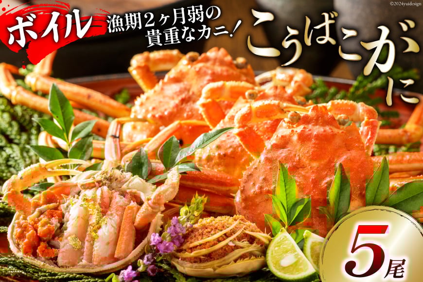 カニ 10月蟹漁解禁！！【訳あり】新潟県産本ズワイガニ(オス)1kg 村上市