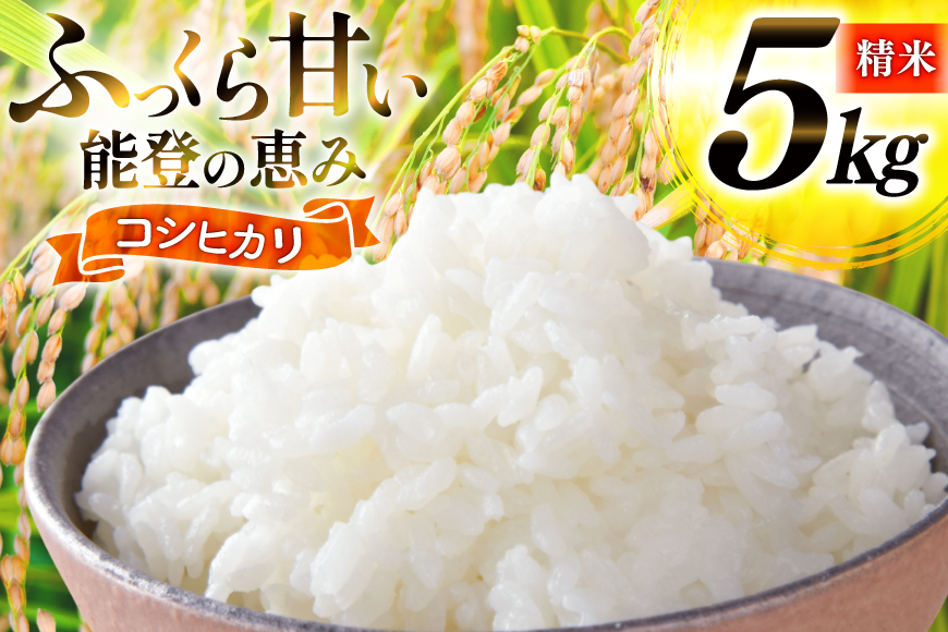 米 令和7年産 コシヒカリ 精米 5kg [能登ファーム志賀 石川県 志賀町 CH4011] コメ こめ ご飯 ごはん 白米 令和7年 こしひかり お米 精米 能登 5キロ