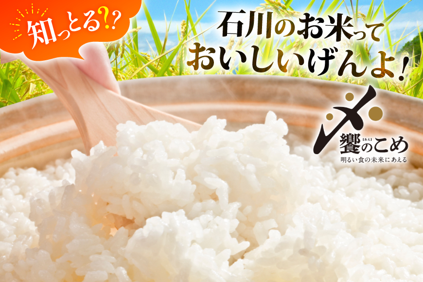米 無洗米 令和7年産 石川県産 ひゃくまん穀 10kg (5kg×2袋) [中橋商事株式会社 石川県 宝達志水町 38601325] お米 コメ こめ kome ごはん 無洗 ひゃくまんごく 10キロ 令和7年 能登