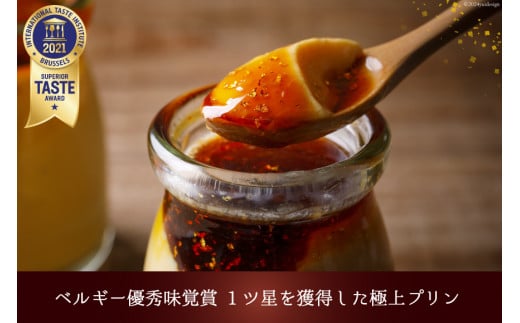 能登の極上素材プリン プレミアム　6個セット（プリン6個×シロップ1本） [宝達山本舗松月堂 石川県 宝達志水町 38600450]