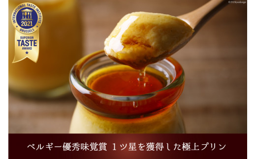 能登の極上素材プリン6個セット（プリン6個×シロップ2本） [宝達山本舗松月堂 石川県 宝達志水町 38600454]