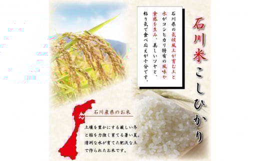 【期間限定発送】 米 令和7年 石川県産 石川米こしひかり【穂立】10kg [中橋商事 饗のこめ (あえのこめ) 石川県 宝達志水町 38601198] コシヒカリ お米 コメ 白米 精米 おこめ こめ 10キロ ごはん ご飯 国産