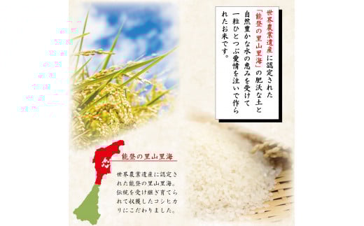 米 定期便 能登米 こしひかり 5kg ×3回 総計15kg [中橋商事 石川県 宝達志水町 38601206] コシヒカリ お米 コメ 3ヶ月 3か月 白米 精米 hurusatonouzei おこめ こめ