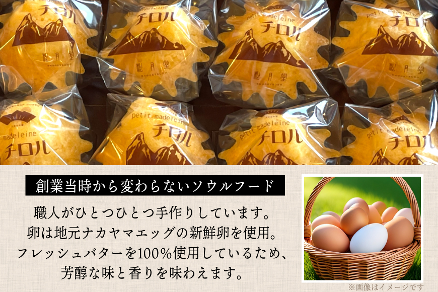 お菓子 プチマドレーヌ チロル 16個入 [宝達山本舗松月堂 石川県 宝達志水町 38601234] マドレーヌ お菓子 焼き菓子 菓子 おかし スイーツ 洋菓子 おやつ 小分け