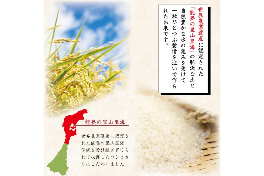 米 令和7年産 能登米 こしひかり 2kg [中橋商事株式会社 石川県 宝達志水町 38601350] 精米 コシヒカリ お米 こめ コメ kome 能登 小容量 2キロ 令和7年