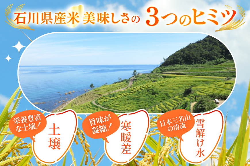 米 無洗米 令和7年産 石川県産 ひゃくまん穀 10kg (5kg×2袋) [中橋商事株式会社 石川県 宝達志水町 38601325] お米 コメ こめ kome ごはん 無洗 ひゃくまんごく 10キロ 令和7年 能登