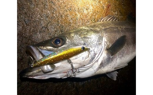 HUNT88　（シーバス専用ルアー） [ハッサク工房 石川県 宝達志水町 38600509]