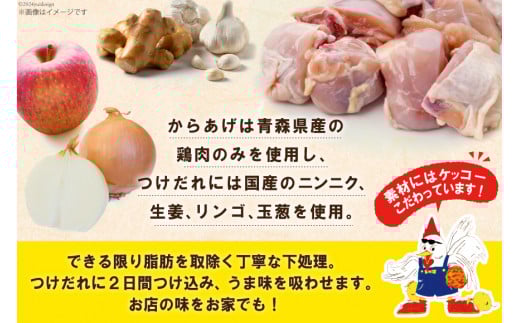 唐揚げ ごちから カレー味 300gx3袋(計900g) [からあげ専門店おっSAMA 石川県 宝達志水町 38600909] からあげ から揚げ 冷凍食品 揚げ物 おかず お弁当