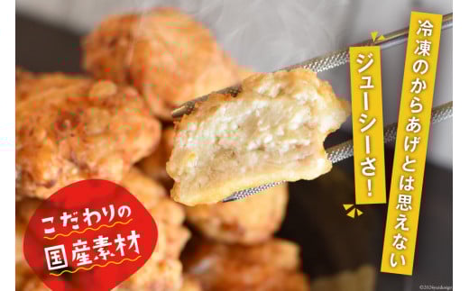 唐揚げ 能登から&ごちから詰め合わせ 能登から3種(200gx3袋) ごちから2種(300gx2袋) 鶏皮せんべいx1 [からあげ専門店おっSAMA 石川県 宝達志水町 38600917]