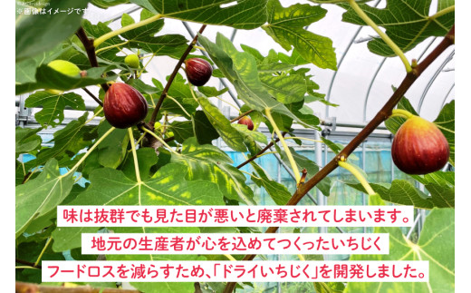 【期間限定発送】 ドライフルーツ いちじく 50g [モアショップヤマモト 石川県 宝達志水町 38601069] 無添加 ドライ イチジク 無花果 期間限定 砂糖不使用 お菓子 おつまみ 果物 フルーツ