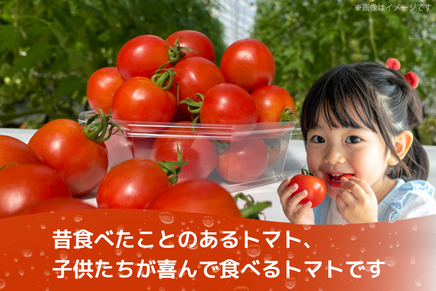 訳あり 野菜 トマト 冷凍志宝トマト（シンディスイート）中玉 2kg [モアショップヤマモト 石川県 宝達志水町 38601220] とまと 中玉 不揃い 規格外 2キロ わけあり 訳アリ 家庭用 やさい tomato