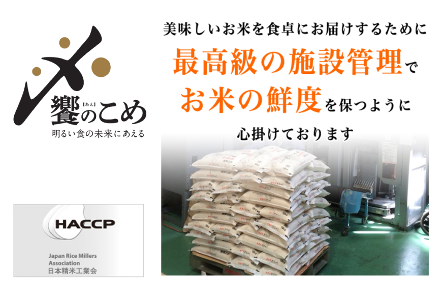 米 無洗米 令和7年産 石川県産 ひゃくまん穀 10kg (5kg×2袋) [中橋商事株式会社 石川県 宝達志水町 38601325] お米 コメ こめ kome ごはん 無洗 ひゃくまんごく 10キロ 令和7年 能登