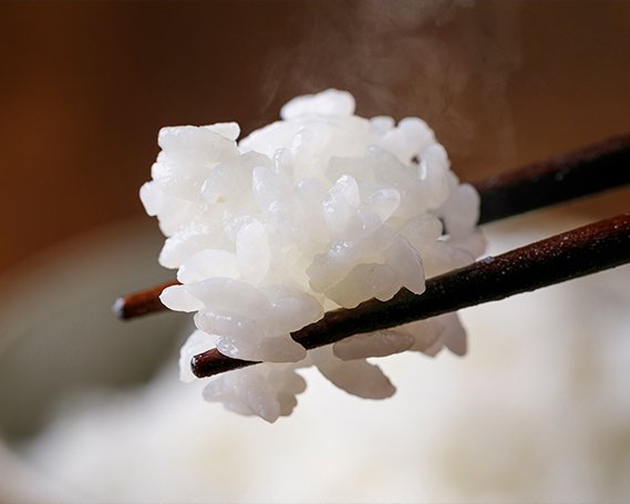 ふるさと納税 石川県 宝達志水町 米 コシヒカリ 「弘宝米」 玄米 30kg