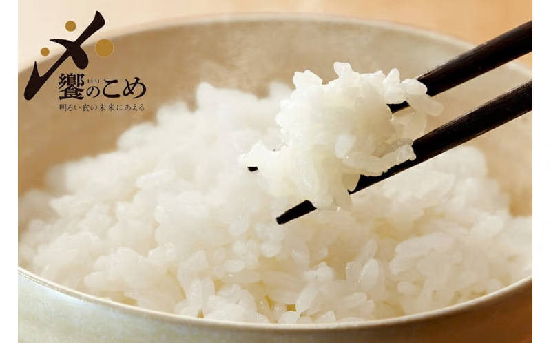 【3回 無洗米 定期便 】〈2026年3月より初回出荷〉石川県産 こしひかり 5kg×3回 総計15kg [中橋商事 石川県 宝達志水町 38601336] 米 お米 白米 精米 ご飯 ごはん コシヒカリ