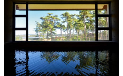 宿泊券 1名様 1泊2日 お食事なし [ホテルウェルネス能登路 石川県 宝達志水町 38600907] ホテル 温泉 旅行 旅 旅行券 素泊まり