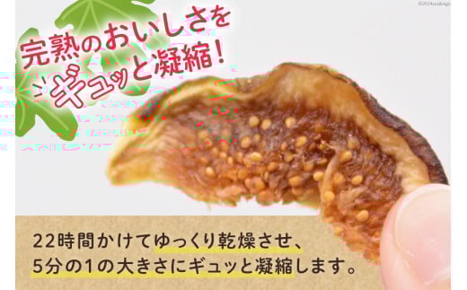 【期間限定発送】 ドライフルーツ いちじく 50g [モアショップヤマモト 石川県 宝達志水町 38601069] 無添加 ドライ イチジク 無花果 期間限定 砂糖不使用 お菓子 おつまみ 果物 フルーツ