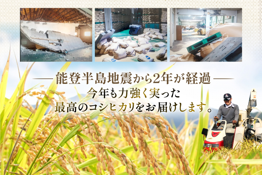 米 定期便 石川米こしひかり【穂立】5kg×6回 総計30kg [中橋商事 石川県 宝達志水町 38601131] コシヒカリ お米 コメ 6ヶ月 白米 精米 おこめ こめ 能登 5kg 5キロ