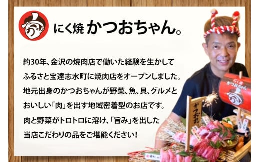 ハンバーグ 能登の煮込みハンバーグ「地元バーグ」200g×3個  [にく焼かつおちゃん。 石川県 宝達志水町 38601134]  牛 豚 肉 能登 冷凍 湯煎 レンジ 簡単調理 時短 便利 肉 お肉 弁当 惣菜 おかず