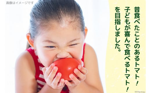 【 訳あり 】志宝トマト 大玉 約 2kg [モアショップヤマモト 石川県 宝達志水町 38601138] トマト とまと 不揃い 規格外 野菜 食品 石川県産