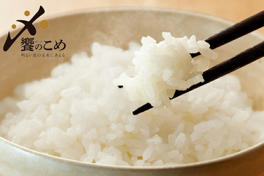 米 無洗米 令和7年産 石川県産 ひゃくまん穀 5kg [中橋商事株式会社 石川県 宝達志水町 38601326] お米 コメ こめ kome ごはん 無洗 ひゃくまんごく 5キロ 令和7年 能登