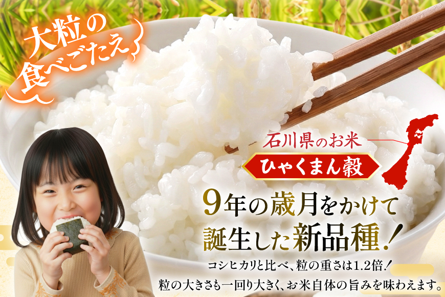 米 無洗米 令和7年産 石川県産 ひゃくまん穀 5kg [中橋商事株式会社 石川県 宝達志水町 38601326] お米 コメ こめ kome ごはん 無洗 ひゃくまんごく 5キロ 令和7年 能登