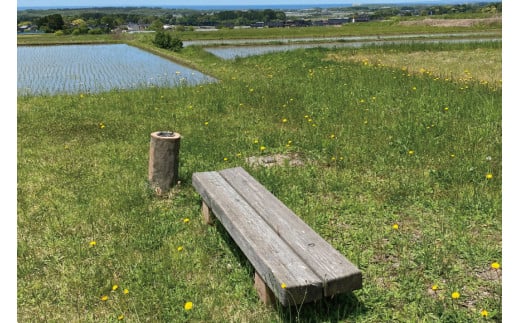 プライベート 花火 2号玉×50発&3号玉×15発&4号玉×10発 計75発【打上場所は宝達志水町内限定】/ 能登煙火 / 石川県 宝達志水町