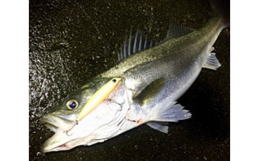 HUNT88　（シーバス専用ルアー） [ハッサク工房 石川県 宝達志水町 38600509]