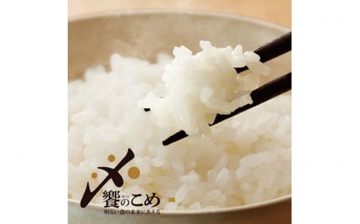 【期間限定発送】 米 令和7年 能登米 こしひかり 精米 10kg ×2袋 計 20kg [中橋商事 石川県 宝達志水町 38601195] お米 白米 ごはん 美味しい コシヒカリ おこめ こめ コメ 20キロ