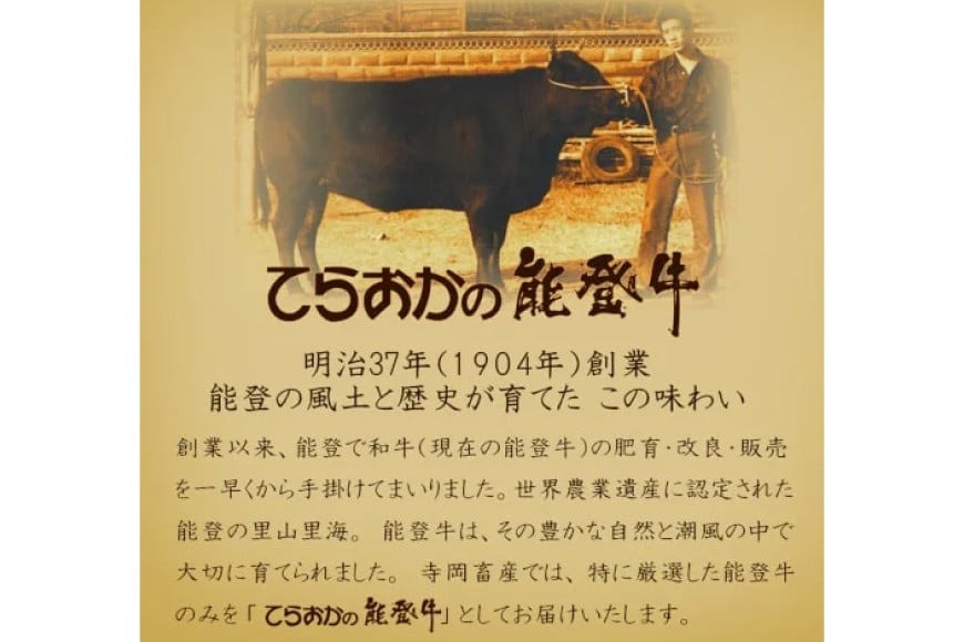 牛肉 能登牛 ロース (4～5等級) すき焼き用 600g [寺岡畜産株式会社 石川県 宝達志水町 38601315] 肉 お肉 すき焼き すきやき 能登牛 すき焼肉 すき焼き用 牛 国産 冷凍 和牛