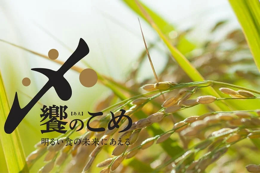 米 無洗米 令和7年産 石川県産 ひゃくまん穀 5kg [中橋商事株式会社 石川県 宝達志水町 38601326] お米 コメ こめ kome ごはん 無洗 ひゃくまんごく 5キロ 令和7年 能登