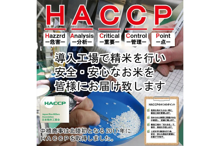 米 令和7年産 無洗米 石川米 こしひかり 2kg [中橋商事株式会社 石川県 宝達志水町 38601349] コシヒカリ お米 こめ コメ kome 能登 小容量 2キロ 令和7年 むせんまい