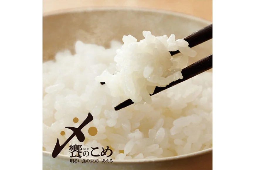 米 令和7年産 能登米 こしひかり 2kg [中橋商事株式会社 石川県 宝達志水町 38601350] 精米 コシヒカリ お米 こめ コメ kome 能登 小容量 2キロ 令和7年