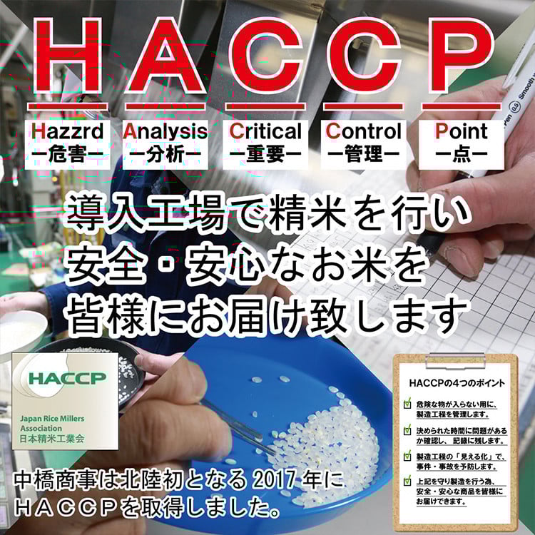 米 定期便 能登米 こしひかり 5kg ×12回 総計 60kg 精米 [中橋商事 石川県 宝達志水町 38600899] 能登 コシヒカリ お米 コメ 12ヶ月 12か月 5キロ 60キロ 白米 おこめ こめ