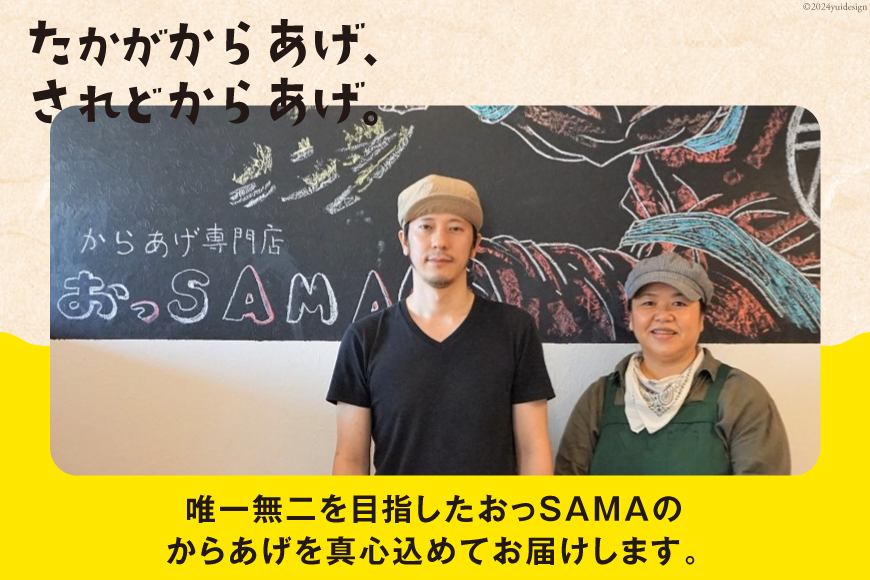 唐揚げ 能登から&ごちから詰め合わせ 能登から3種(200gx3袋) ごちから2種(300gx2袋) 鶏皮せんべいx1 [からあげ専門店おっSAMA 石川県 宝達志水町 38600917]