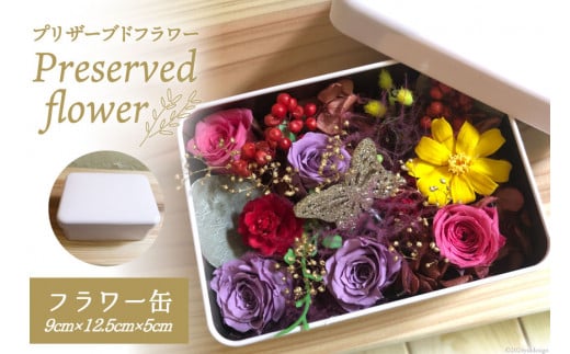 花 プリザーブドフラワー缶 9cm×12.5cm×5cm [littleprincess 石川県 宝達志水町 38600809] 手土産 インテリア 観賞用 小物 お花 花束 長持ち 仏花