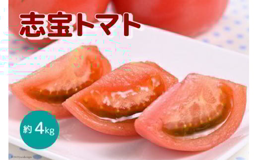 志宝トマト 約 4kg [モアショップヤマモト 石川県 宝達志水町 38601137] トマト とまと 野菜 食品 石川県産