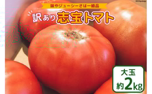 【 訳あり 】志宝トマト 大玉 約 2kg [モアショップヤマモト 石川県 宝達志水町 38601138] トマト とまと 不揃い 規格外 野菜 食品 石川県産