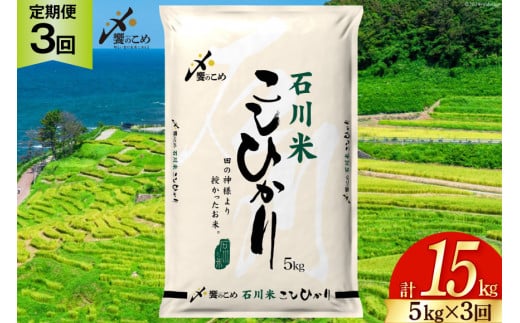 米 定期便 石川米こしひかり【穂立】5kg×3回 総計15kg [中橋商事 石川県 宝達志水町 38601207] コシヒカリ お米 コメ 3ヶ月 白米 精米 おこめ こめ 能登 5kg 5キロ